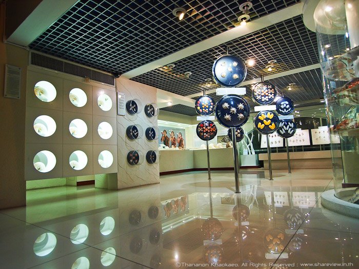 พิพิธภัณฑ์หอยกรุงเทพ