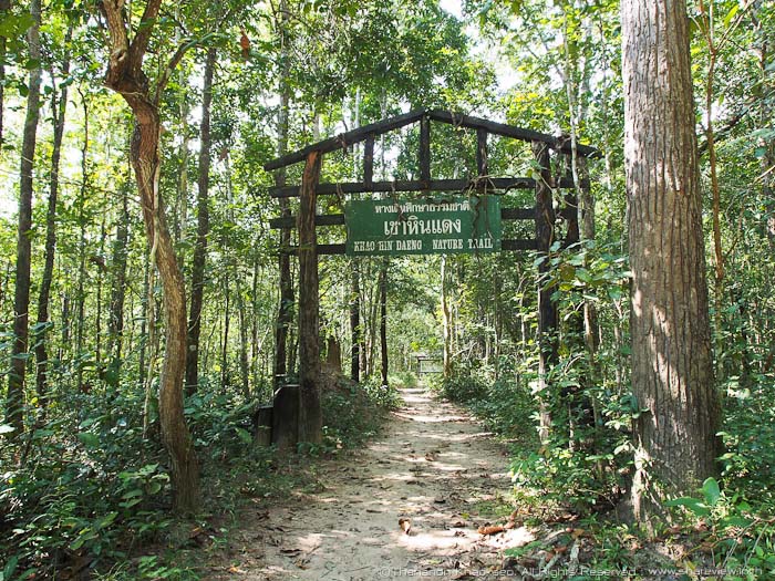 Huay Kha Khaeng Wildlife Sanctuary