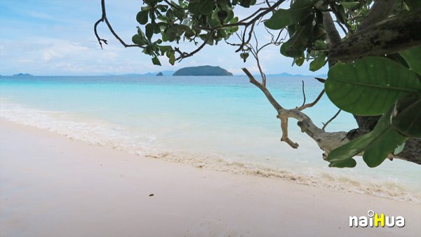 เกาะนาวโอพี พม่า